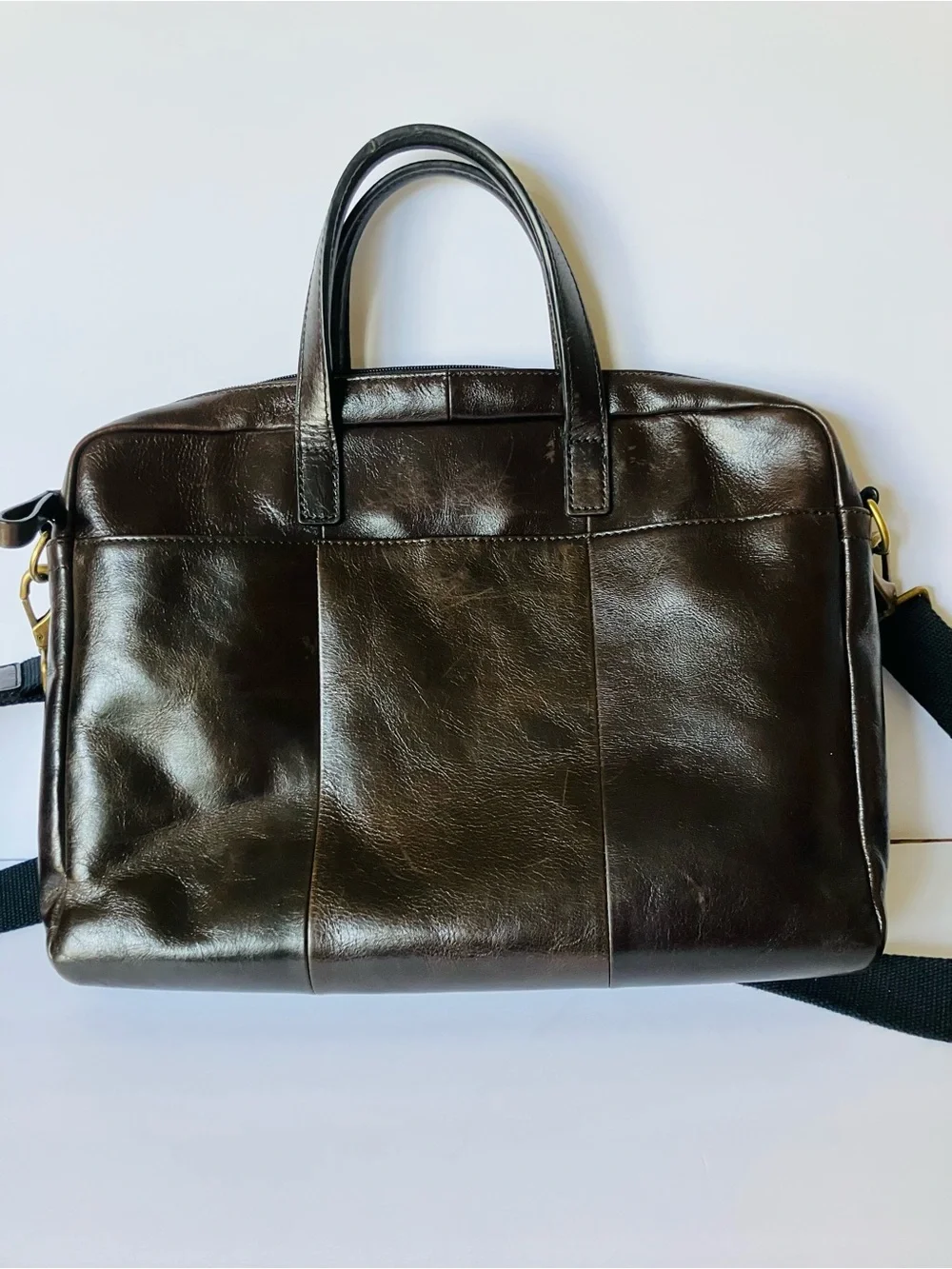 Fossil buckner brown